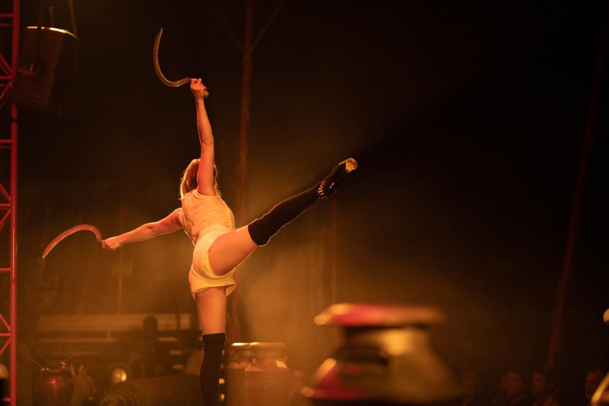 Animal - Cirque Alphonse