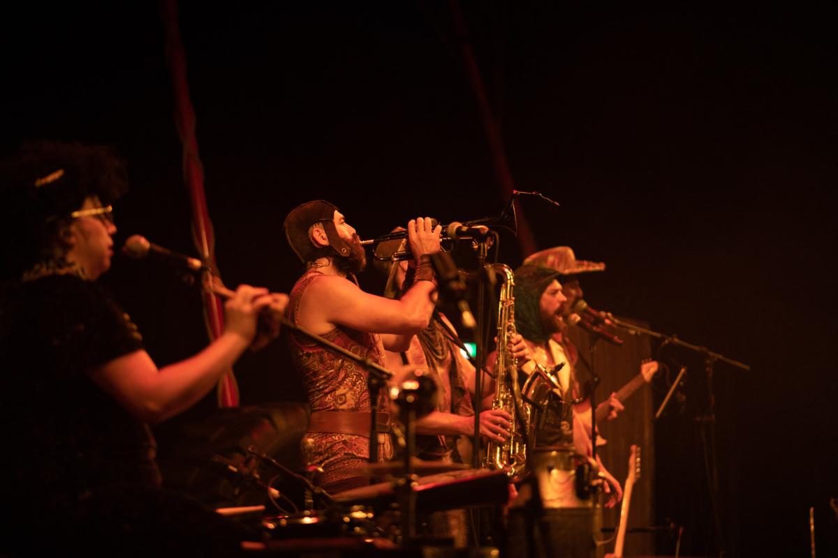 Animal - Cirque Alphonse